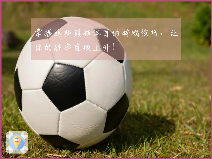 掌握这些熊猫体育的游戏技巧，让你的胜率直线上升！