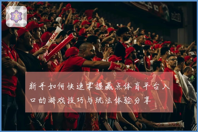 新手如何快速掌握赢点体育平台入口的游戏技巧与玩法体验分享