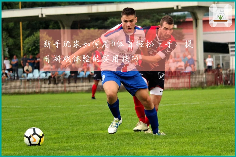 新手玩家如何用b体育轻松上手，提升游戏体验的实用技巧