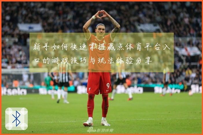 新手如何快速掌握赢点体育平台入口的游戏技巧与玩法体验分享